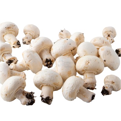 Шампиньоны свежие 500 г - купить в Акдавлетово